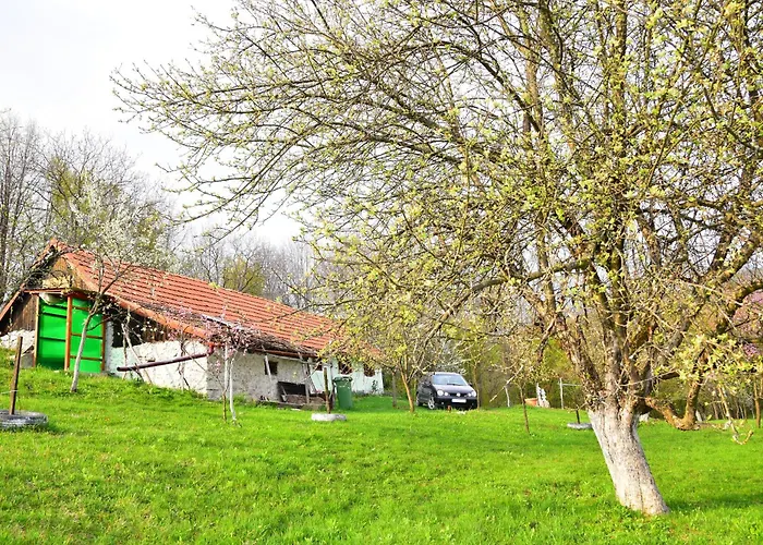 La Salasul Fermecat In Cheile Carasului