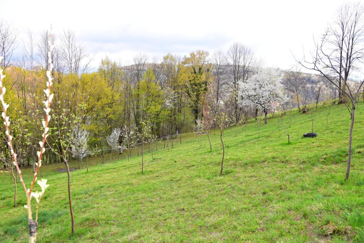 Lodge La Salasul Fermecat In Cheile Carasului