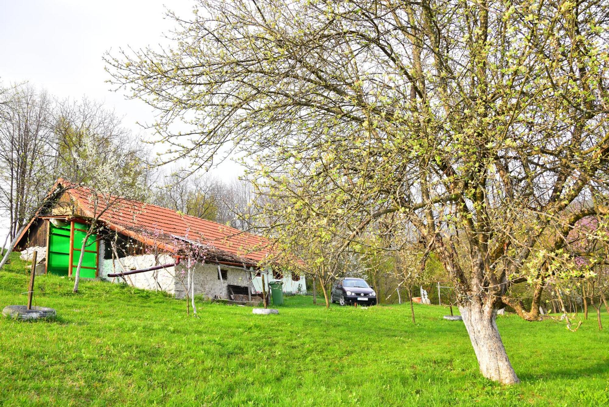 Lodge La Salasul Fermecat In Cheile Carasului *