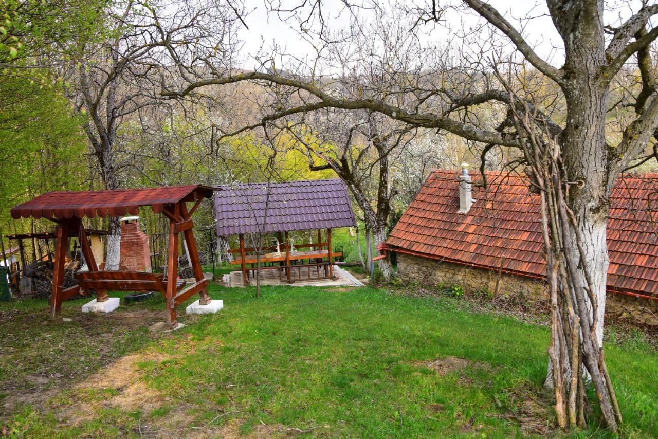 Lodge La Salasul Fermecat In Cheile Carasului *