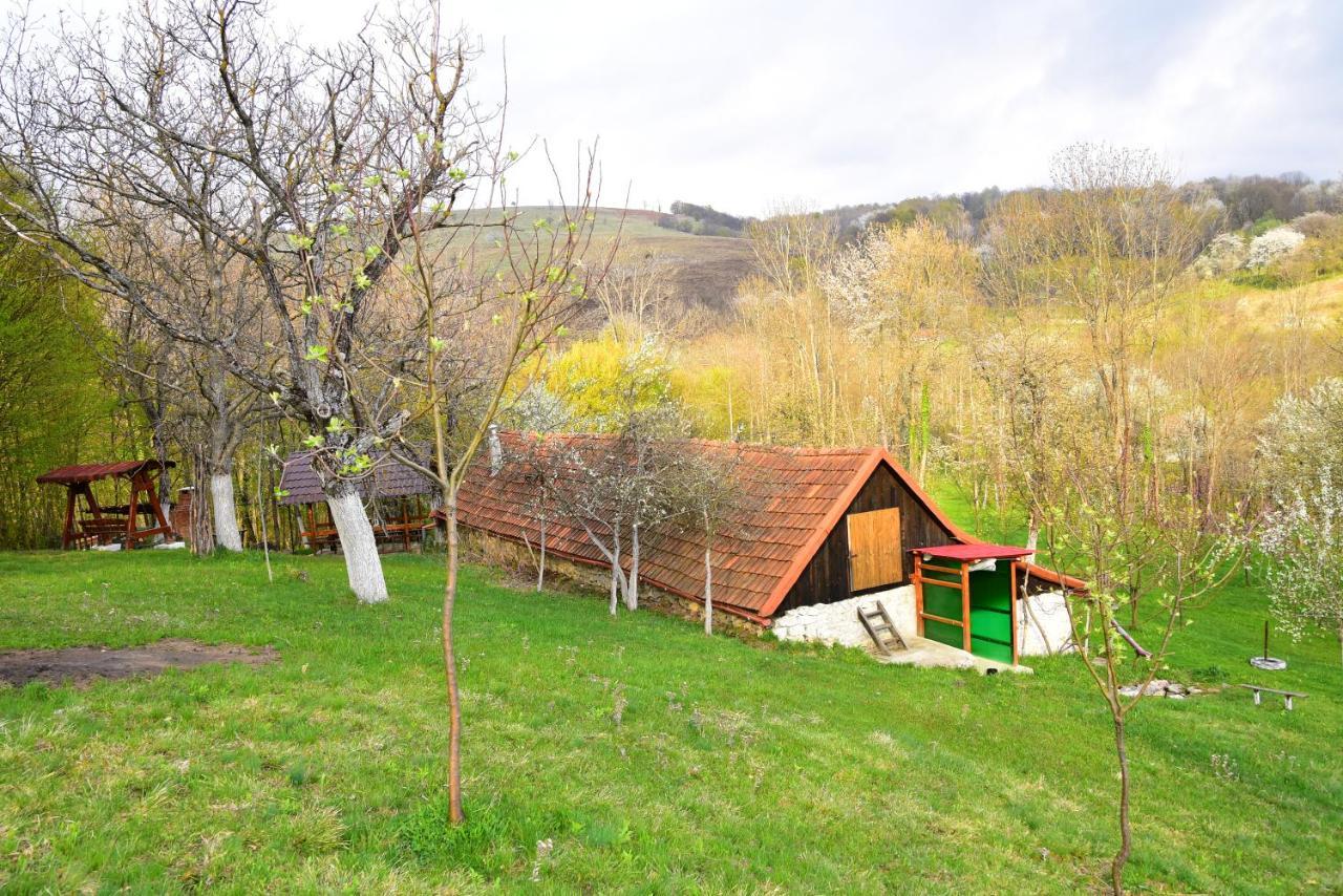 La Salasul Fermecat In Cheile Carasului
