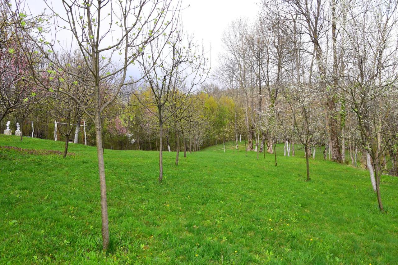 Lodge La Salasul Fermecat In Cheile Carasului