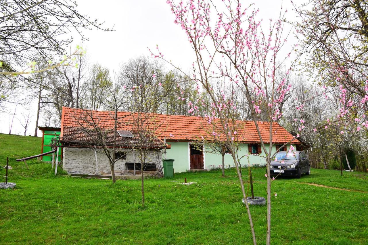 La Salasul Fermecat In Cheile Carasului Lodge *