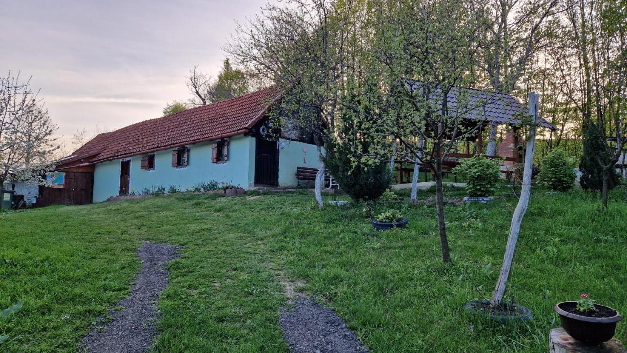 La Salasul Fermecat In Cheile Carasului Lodge
