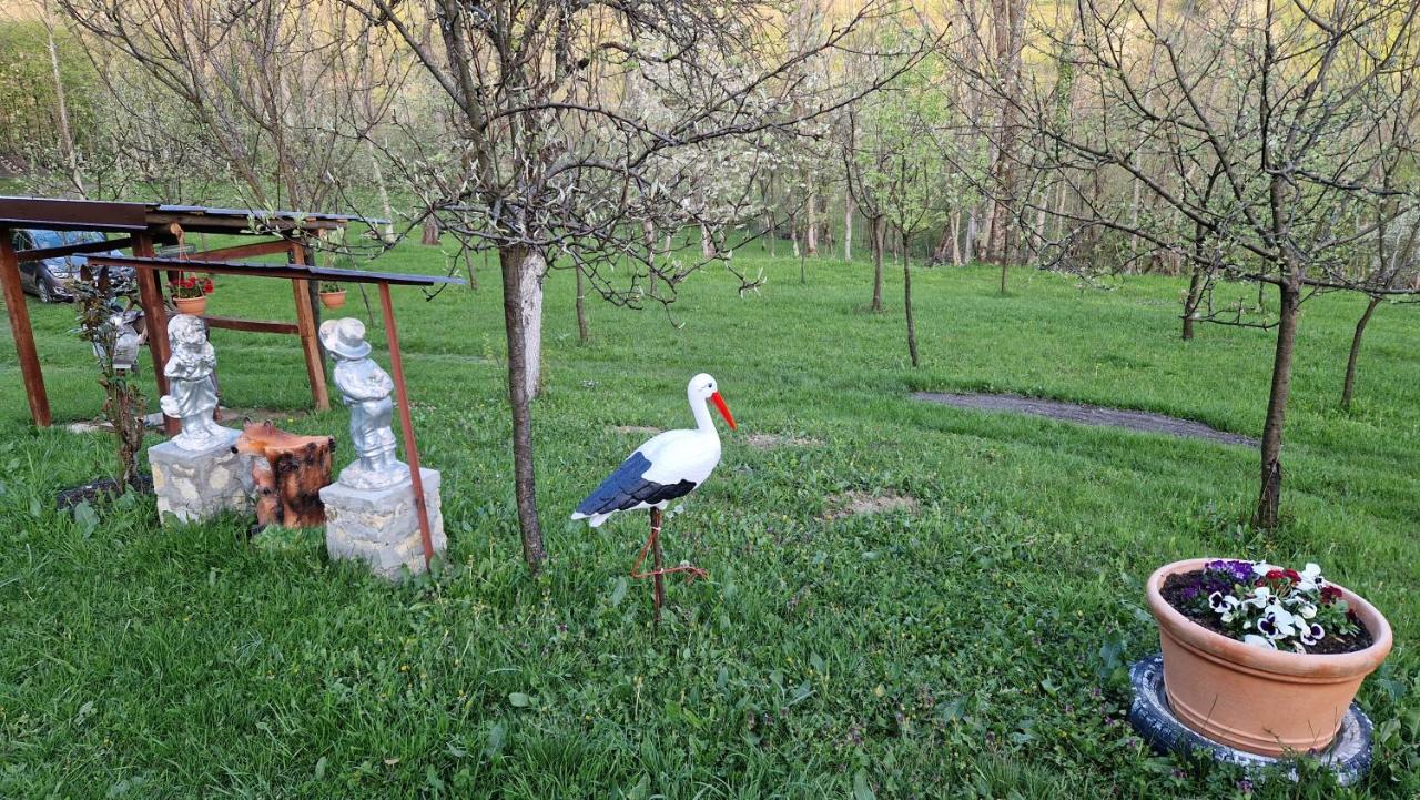 La Salasul Fermecat In Cheile Carasului * Iabalcea