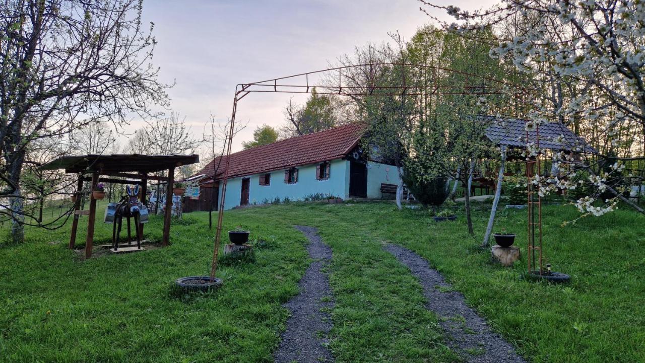 La Salasul Fermecat In Cheile Carasului * Iabalcea
