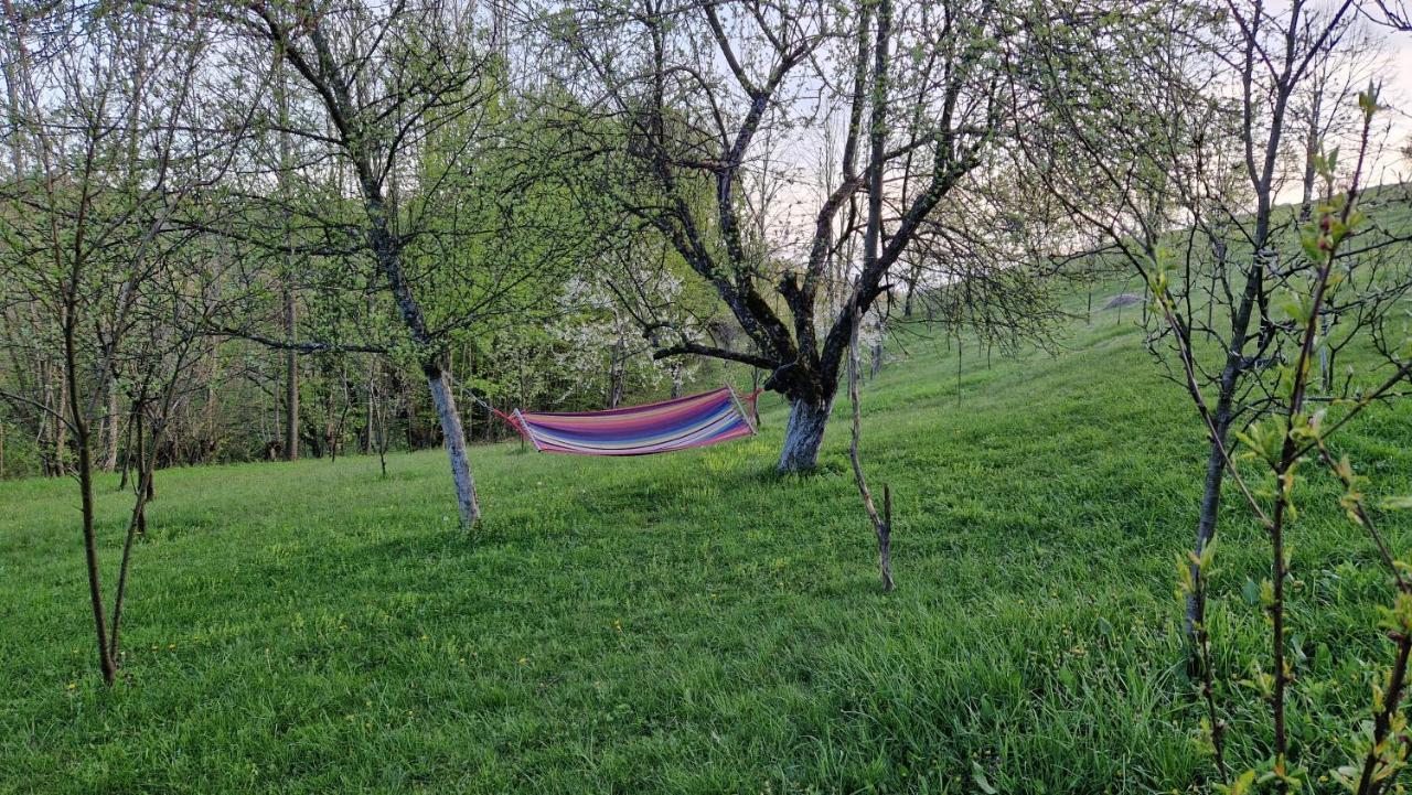 La Salasul Fermecat In Cheile Carasului * Iabalcea