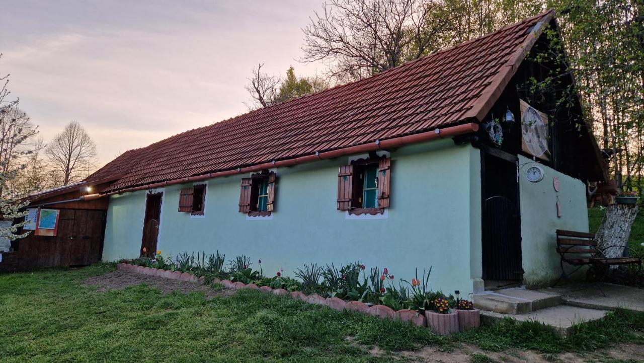 La Salasul Fermecat In Cheile Carasului Lodge