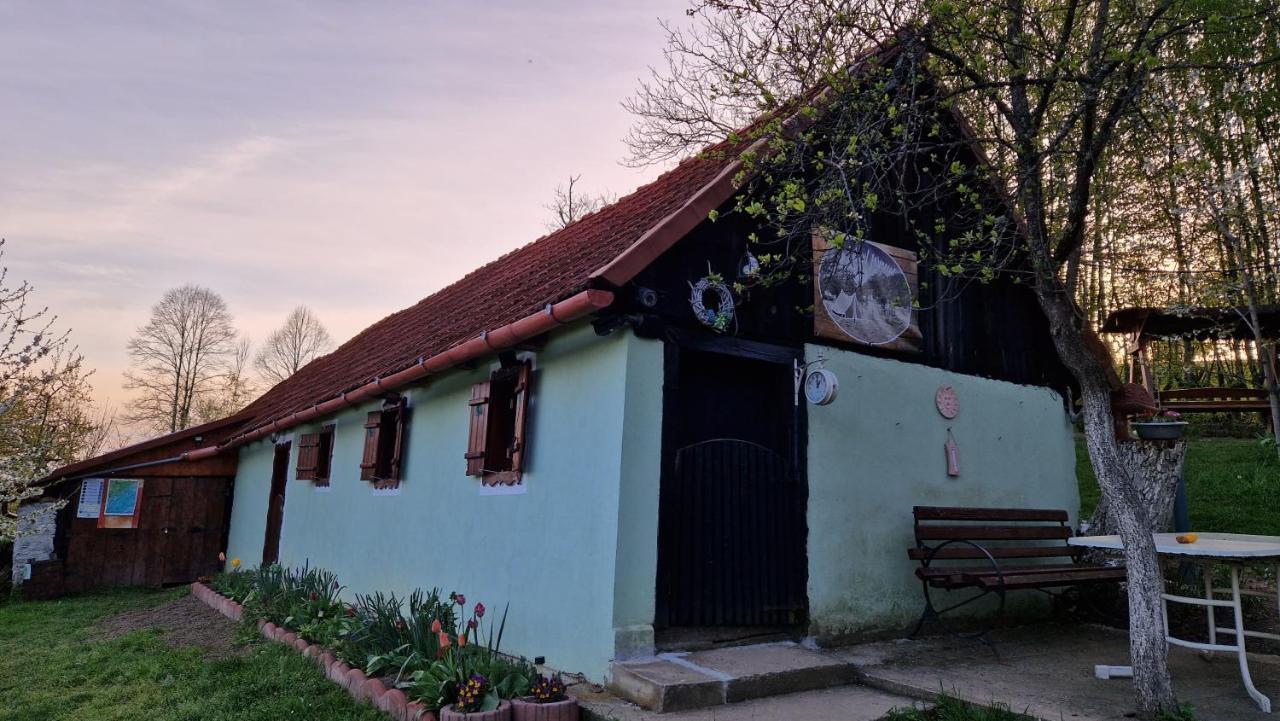 La Salasul Fermecat In Cheile Carasului Lodge