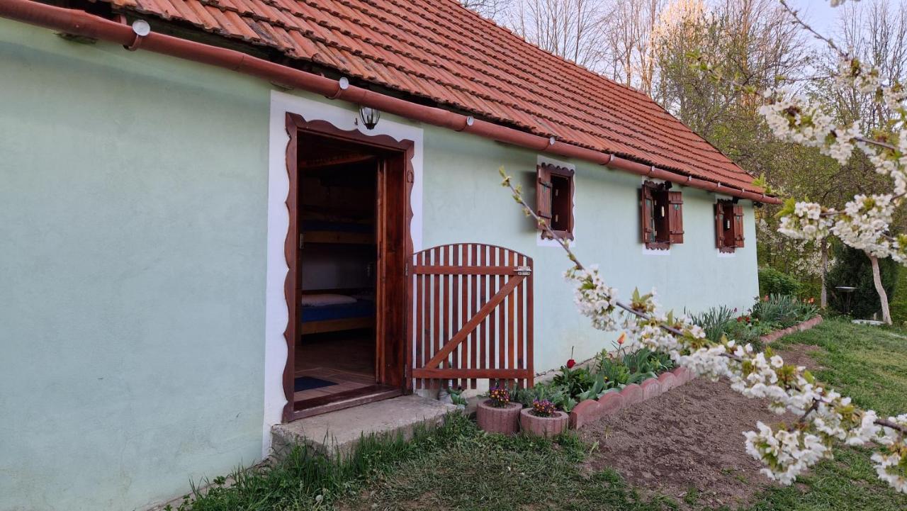 Lodge La Salasul Fermecat In Cheile Carasului