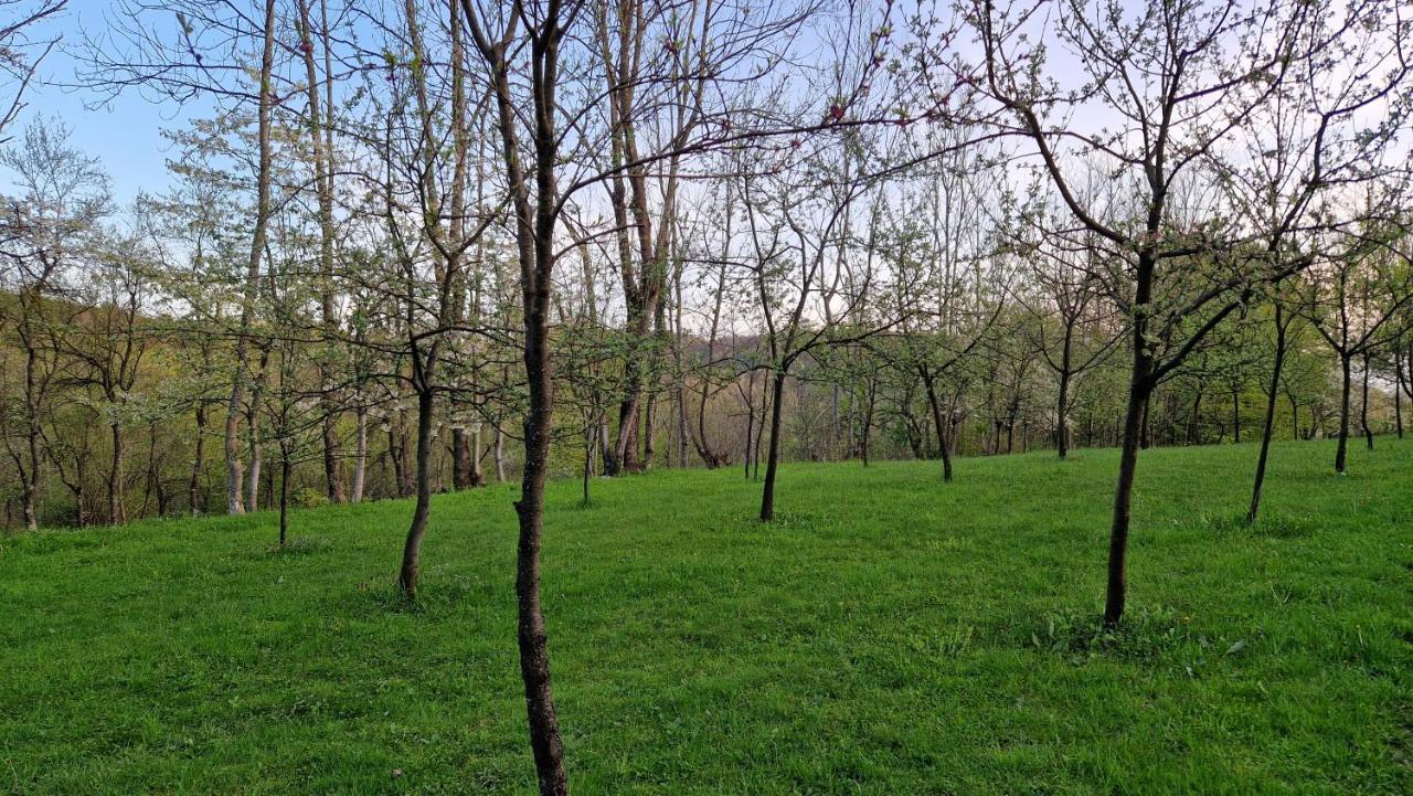 La Salasul Fermecat In Cheile Carasului * Iabalcea