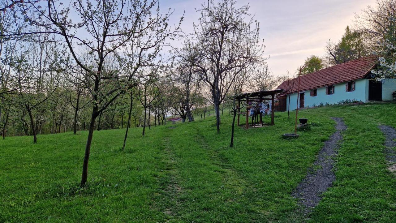 La Salasul Fermecat In Cheile Carasului Lodge