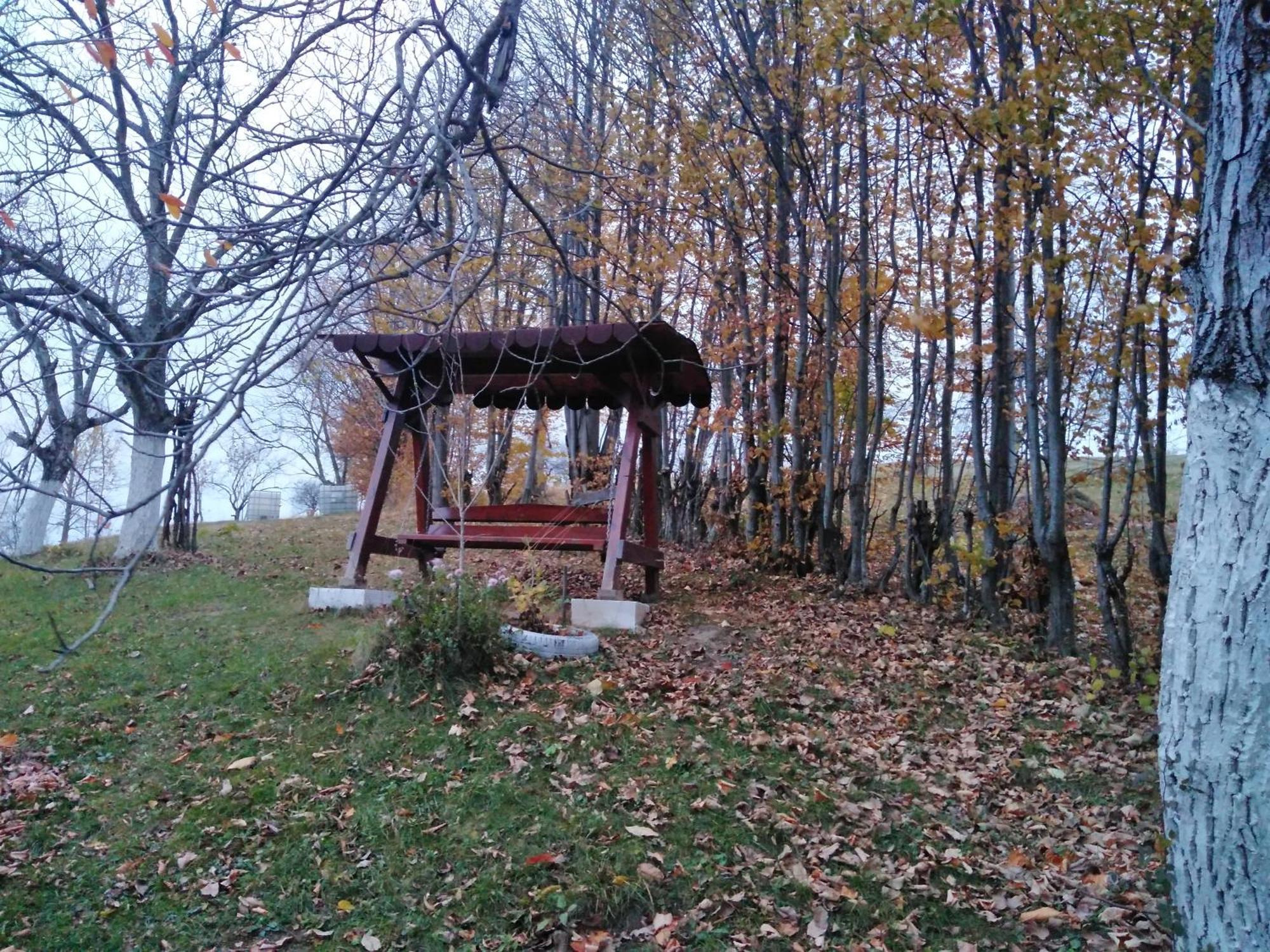 La Salasul Fermecat In Cheile Carasului Lodge